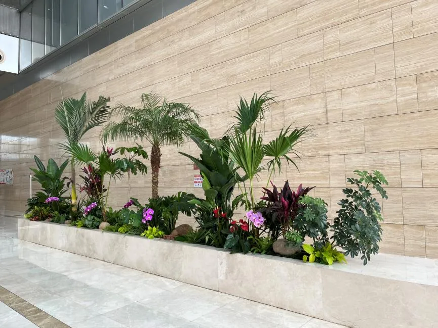 宁波奉化绿植出租服务好